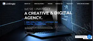 Reasons Linkingly Digital Is Uganda's Top Web Designer
