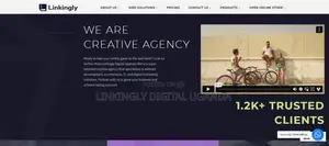 Reasons Linkingly Digital Is Uganda's Top Web Designer