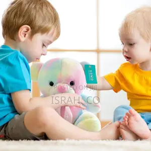 60cm Rainbow Plush Bear Toy