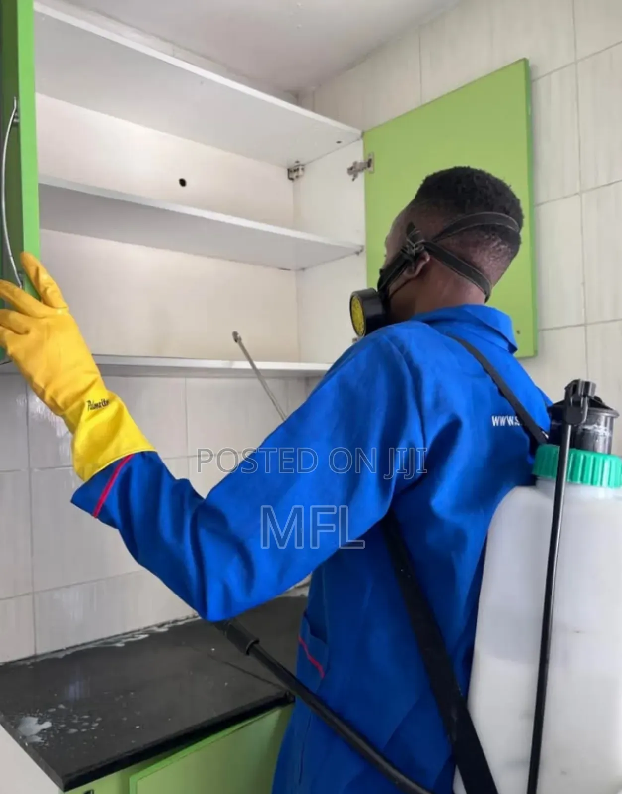 Cockroach Spraying and Fumigation