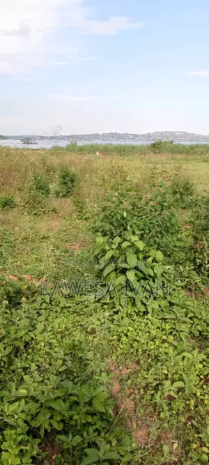3.5 Acres Touching Lake Shores on Sale Buwaya