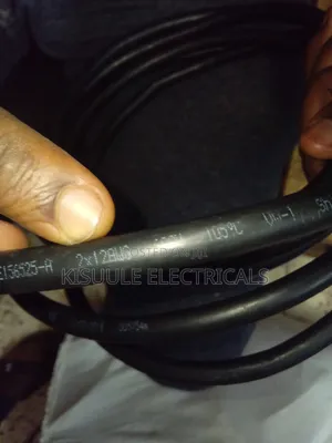 4mm 2 Core Cable
