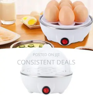 Electric Egg Boiler
