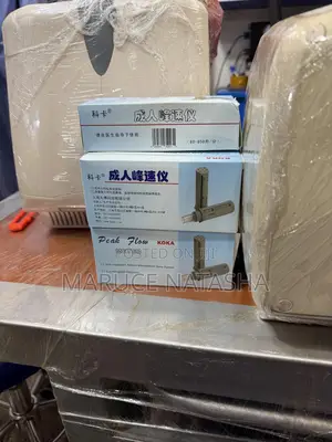 Peak Flow Meter