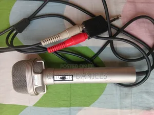 Prinz Japanese Stereo Condenser Mic