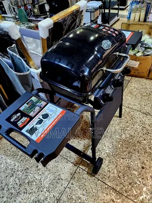 Expert Grill 2 Burner