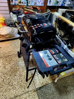 Expert Grill 2 Burner