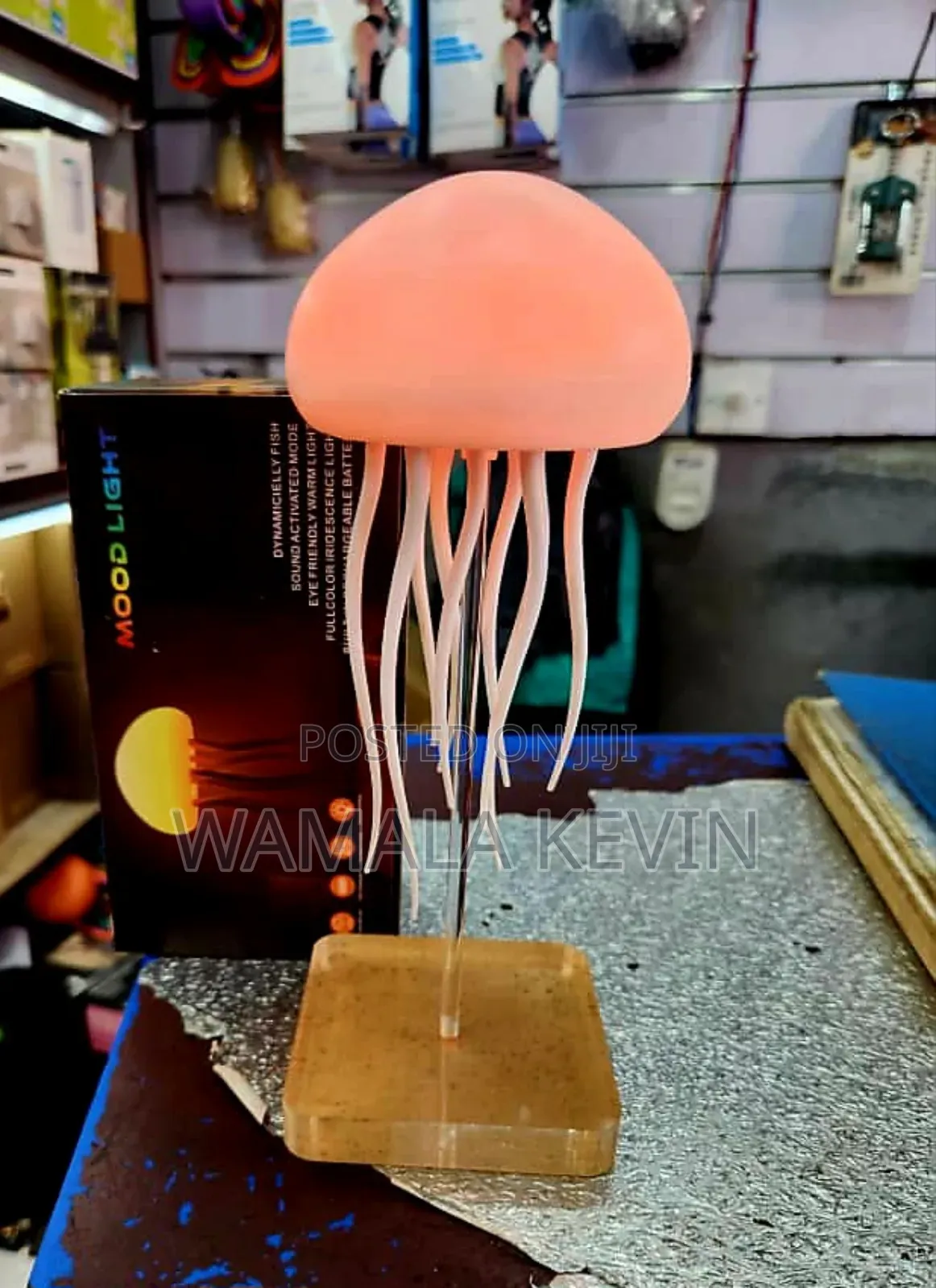 Jellyfish Lamp