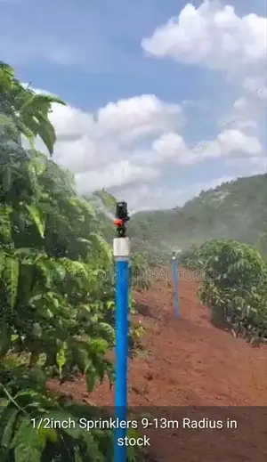 Impact Sprinkler 6-13 Meters Radius