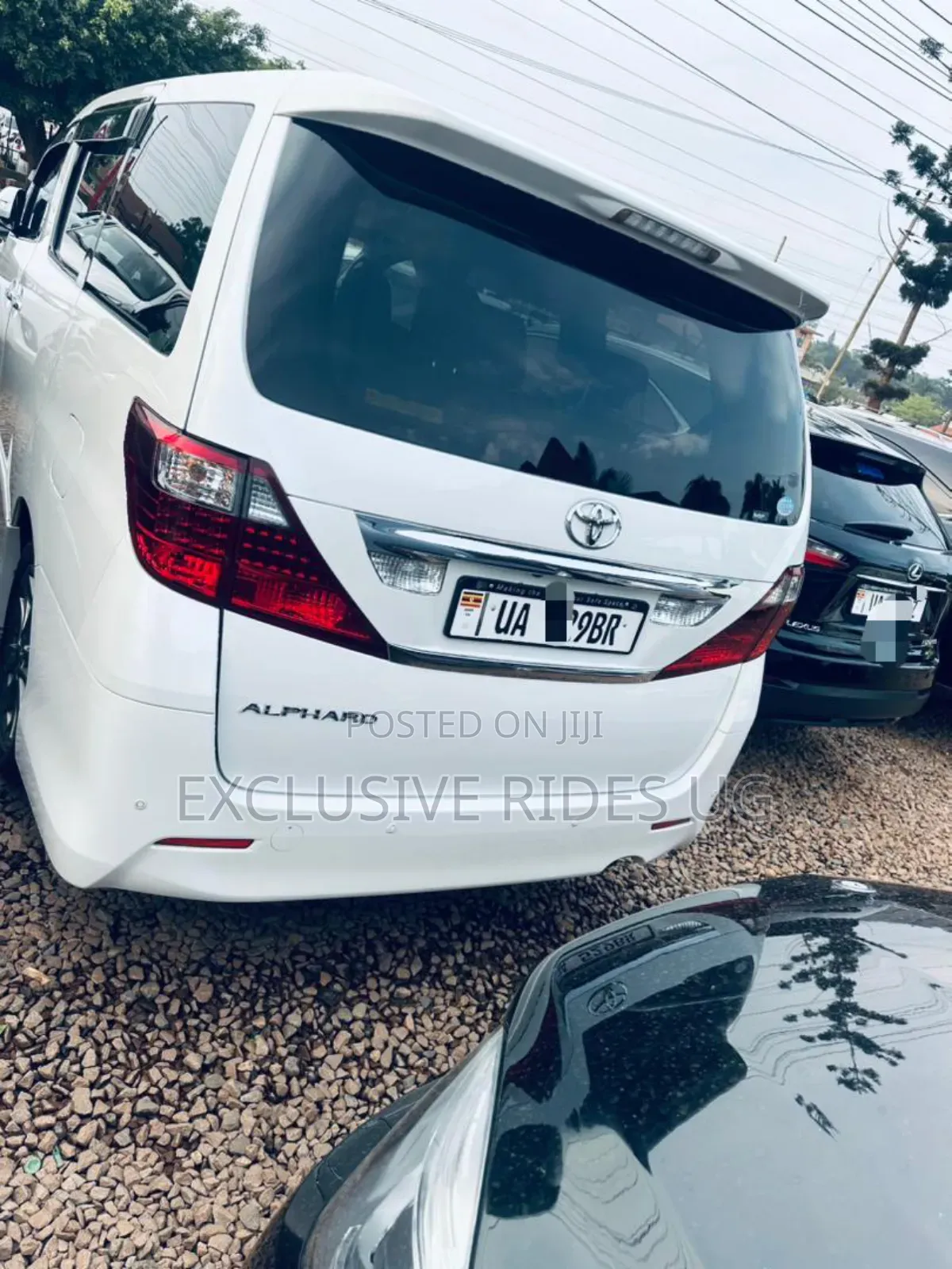 Toyota Alphard 2012 White