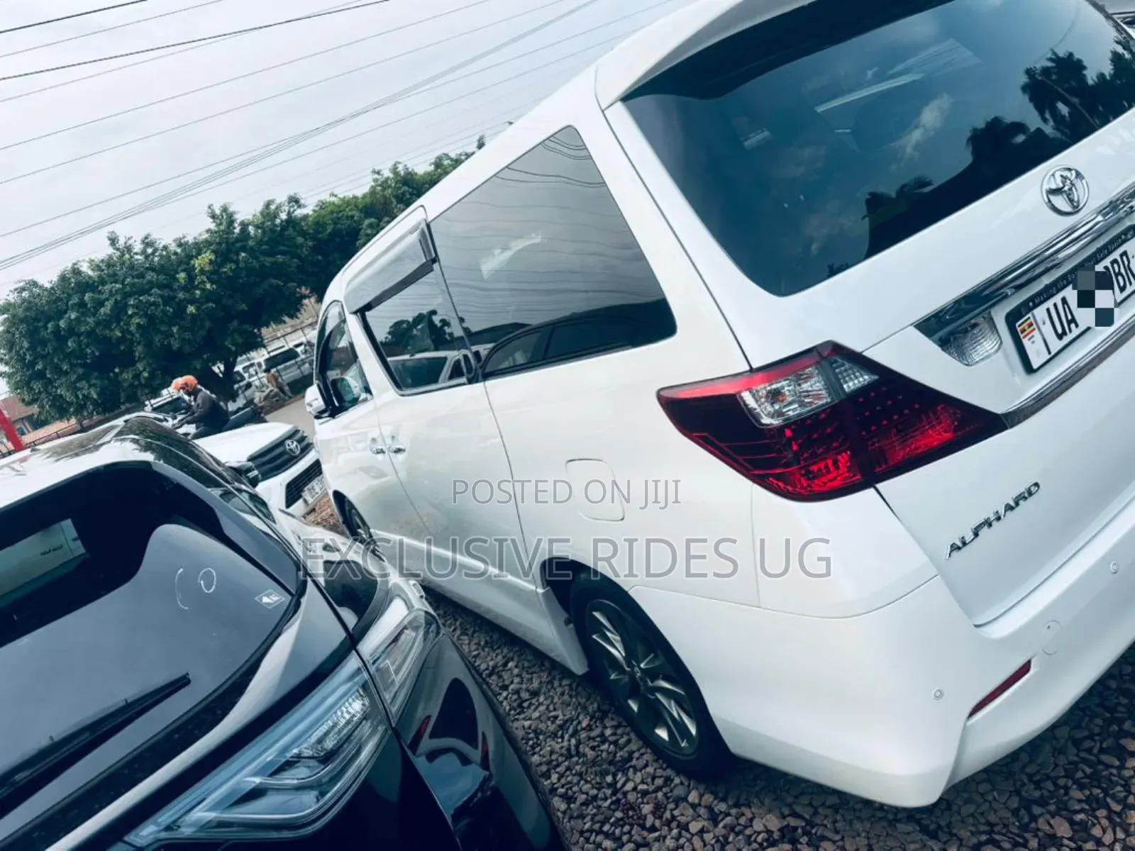 Toyota Alphard 2012 White