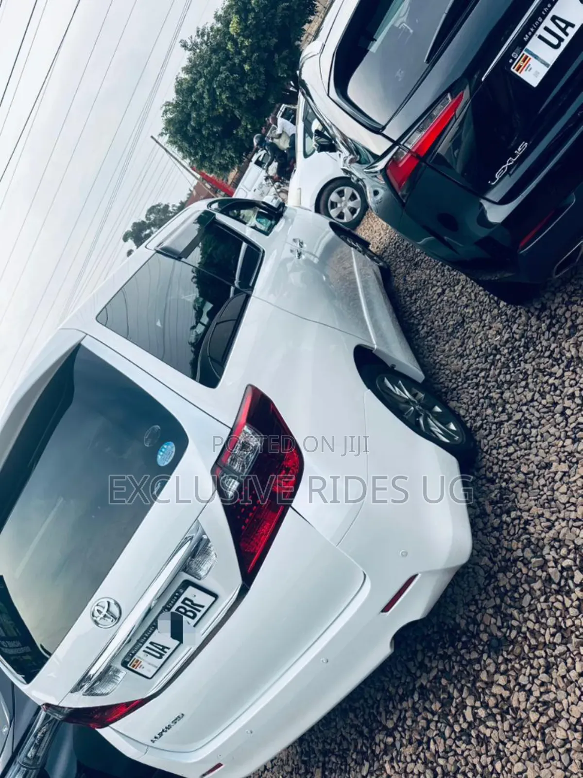 Toyota Alphard 2012 White
