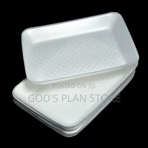 Food Packaging Disposable Plates Big Size 500pcs