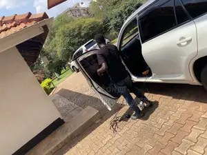 Car Tinting Services