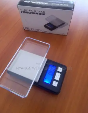 Kitchen Weighing Scale Supplier Portable Weigh Digital Weighing Scale