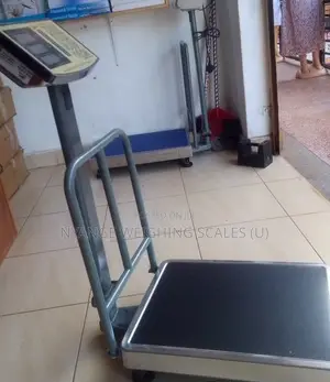 High Precise Weighing Scale 350kg Weigh Digital Platform Weigh Scale