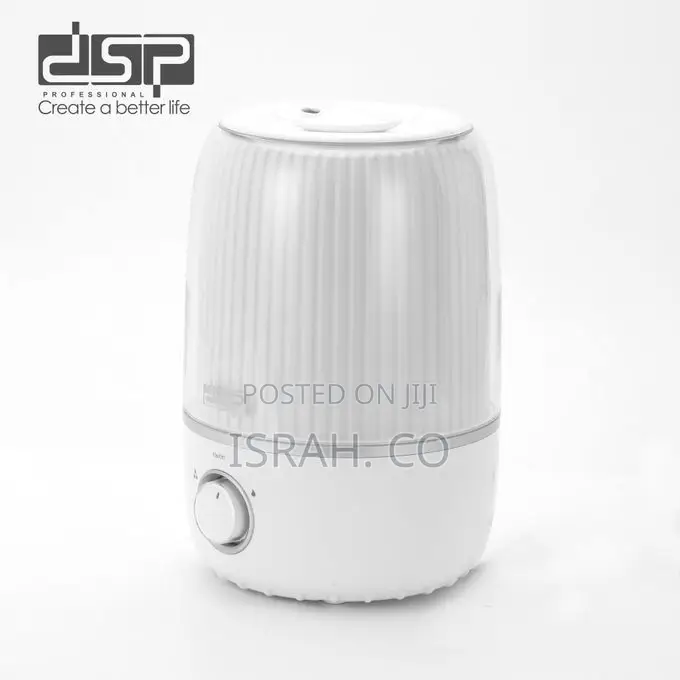 DSP Ultrasonic Air Humidifier Manual Essential Oil Diffuser Mist Maker
