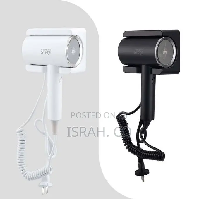 Mounted Electric Hair Dryer