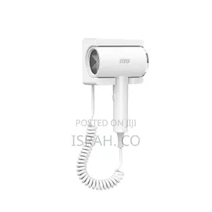 Mounted Electric Hair Dryer