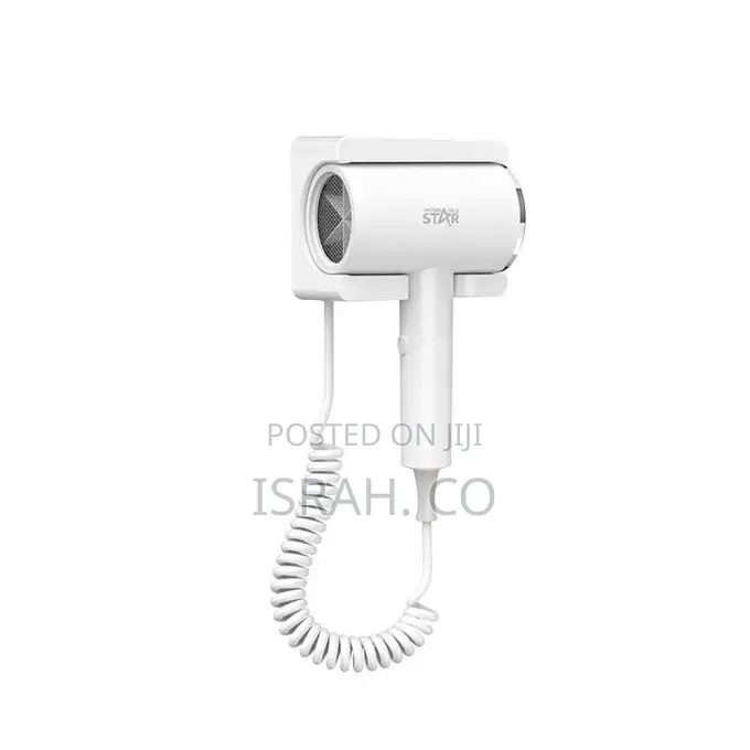 Mounted Electric Hair Dryer