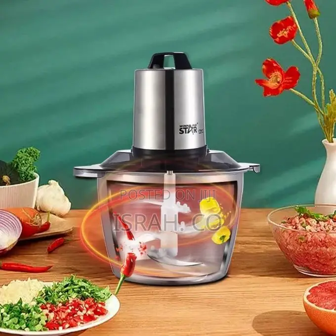 Winningstar 3l Electric Multi-Functional Food Processor,