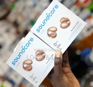 Unique Soundcore C40i Earbuds