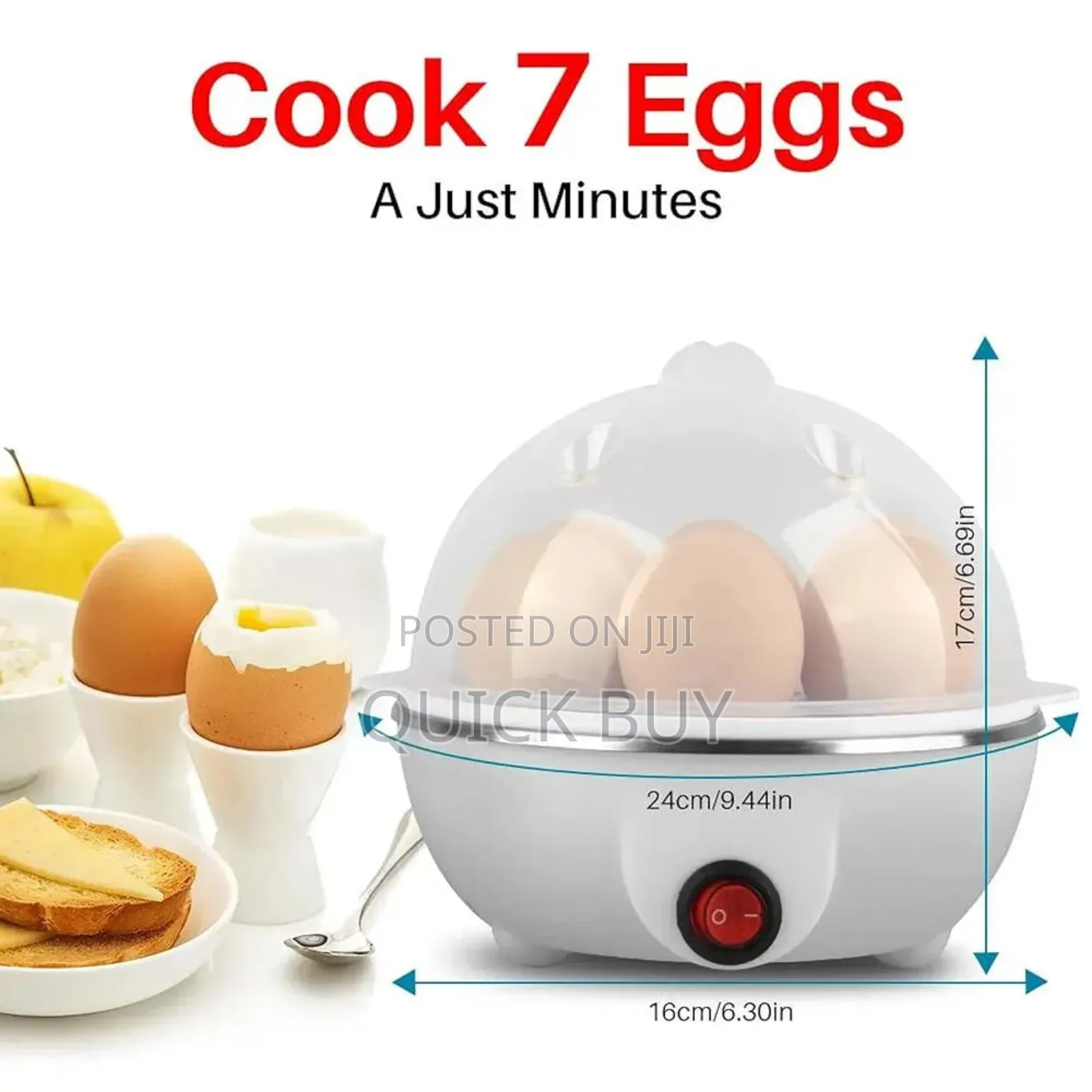 Multifunction Mini Egg Boiler