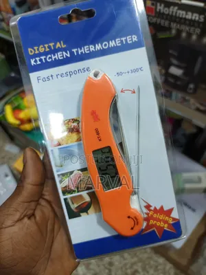 Digital Kitchen Thermometer With a Folding Probe