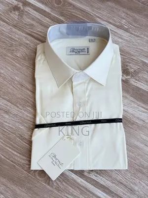 Zeus Short Sleeve Office Shirts