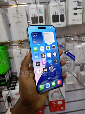 Apple iPhone 16 Pro Max 256 GB Gray