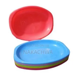 12 Pieces of Plastic Dinner Plates