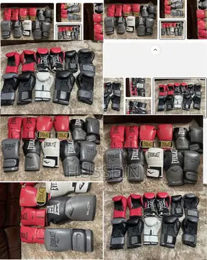 Boxing Gloves Everlast Uk