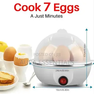 Multifunction Mini Egg Boiler