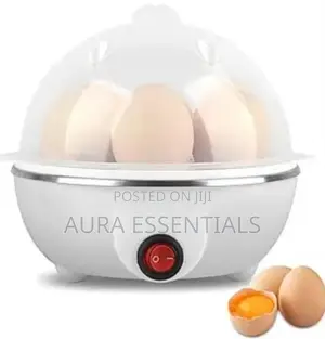 Multifunction Mini Egg Boiler