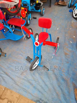 Kids Metallic Bike