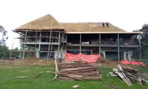 Grass Thatched Houses