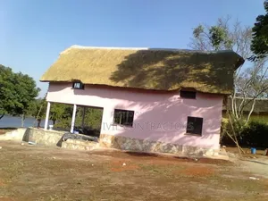 Grass Thatched Houses