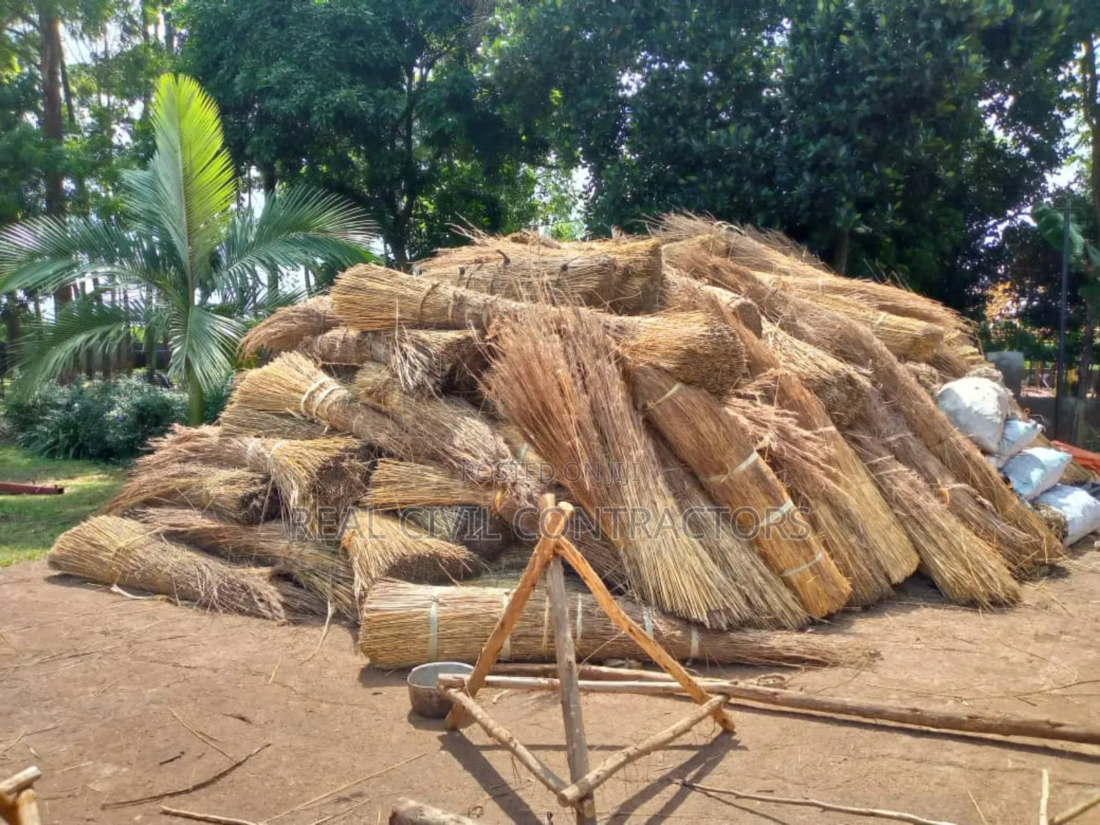 Grass Thatched Houses