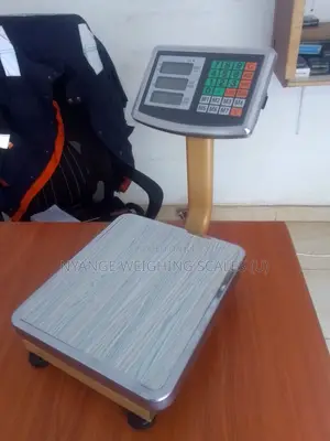 Portable Platform Weighing Scale 80kg Weigh Accurate Weighing Scale