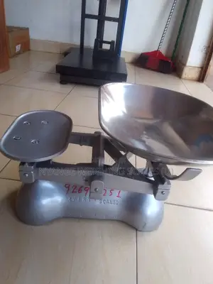 Silver Strong Avary Weighing Scale Counter Shop Weighing Scale