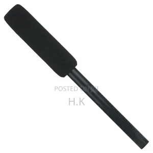 Interview Microphone