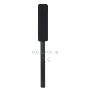 Interview Microphone