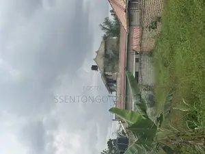 Nabusugwe Road Fences Plot for Sale