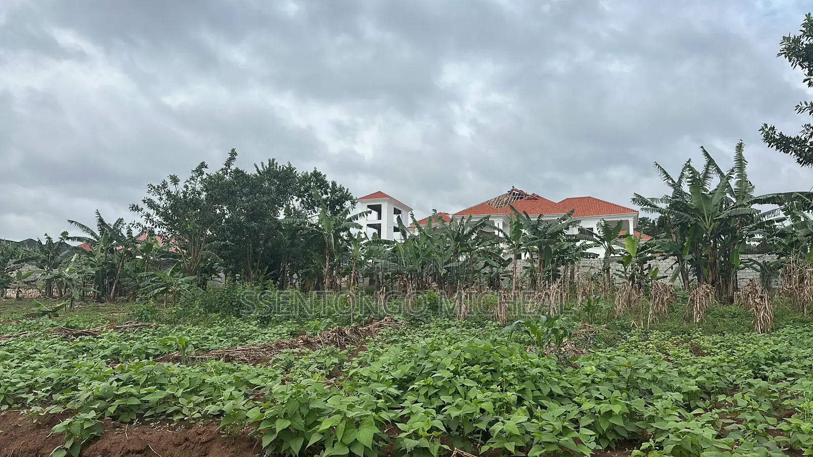 Kitukutwe Land 100m From Main Rd