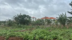 Kitukutwe Land 100m From Main Rd