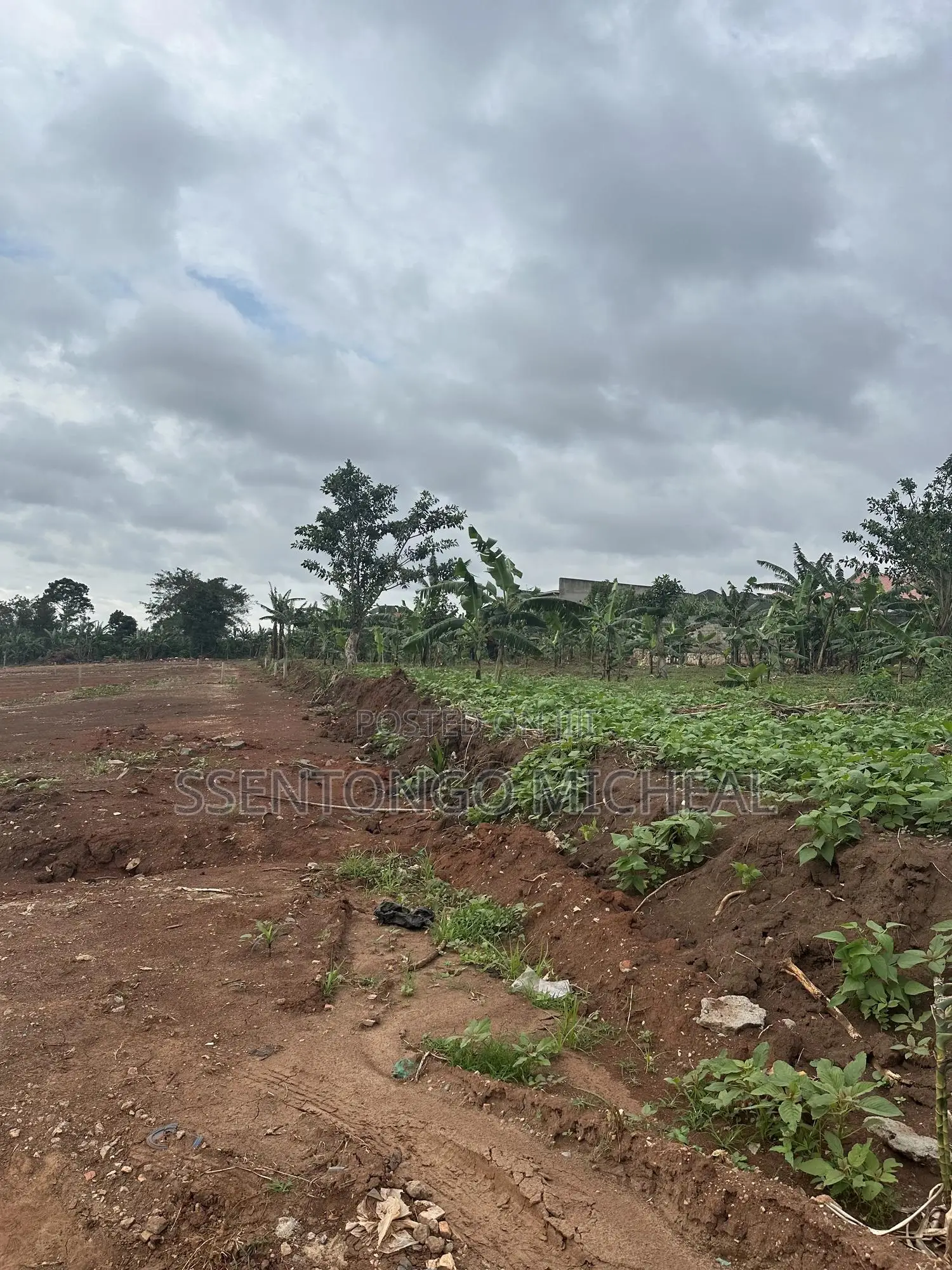 Kitukutwe Land 100m From Main Rd