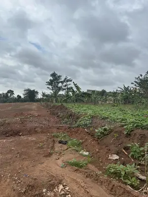 Kitukutwe Land 100m From Main Rd