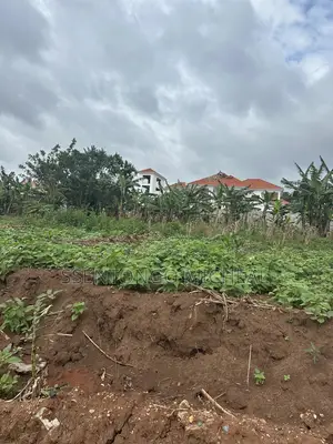 Kitukutwe Land 100m From Main Rd
