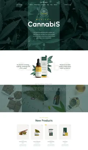 Innovative Solutions for Clinic/Hospital Website Development