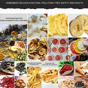 Food Dehydrator Uniform Drying